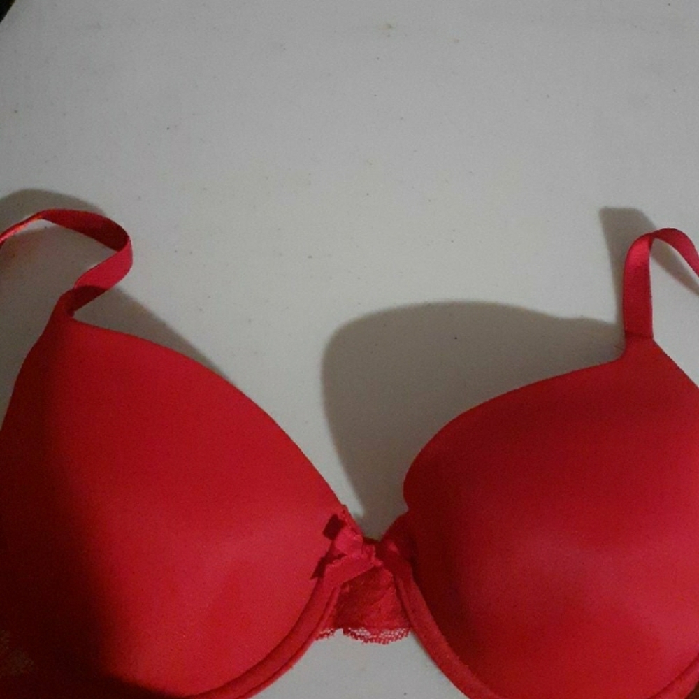 Ellen Tracy Bra
